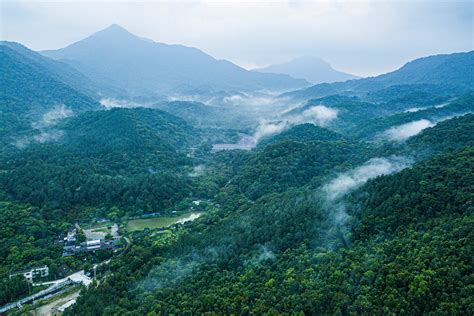 探访海南热带雨林国家公园（组图）_图片_中国小康网