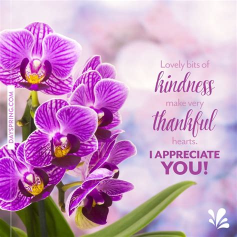 Appreciation Appreciation Thank You Appreciation Card - vrogue.co