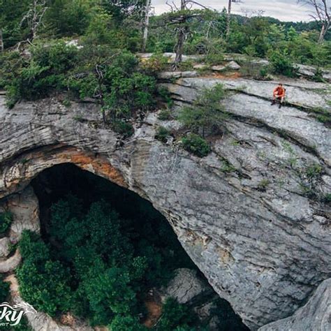 √ Natural Bridge State Park Trail Map