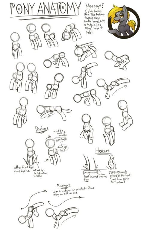 Pony Anatomy Tutorial от CyberToaster.deviantart.com на @deviantART от lucy | Sketch book, My ...