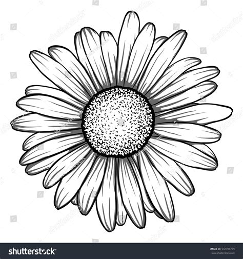 1,572,521 Daisy Flower Image Images, Stock Photos & Vectors | Shutterstock