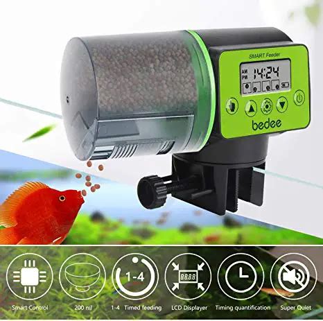 Best Automatic Pond Fish Feeder Reviews for 2024