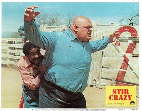 Stir Crazy : The Film Poster Gallery