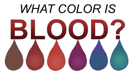 What color is blood REALLY? (Full length version) - YouTube