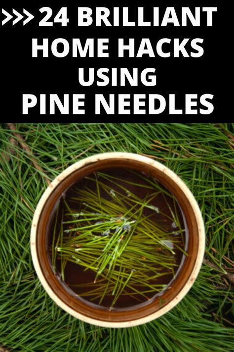 24 Clever Uses of Pine Needles You've never thought of | Pine needles ...