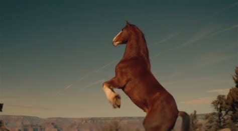 Sorry, Folks: No Budweiser Clydesdale Super Bowl Commercial This Year ...