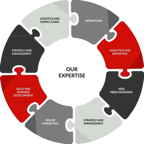 Our-Expertise-Chart - Bayside Search Group