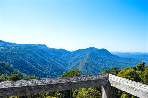 Dorrigo Skywalk, NSW Australia | www.thewanderbug.com • The Wanderbug