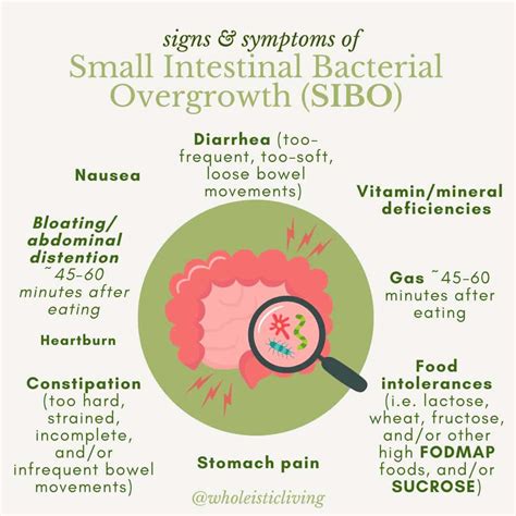 What is Small Intestinal Bacterial Overgrowth (SIBO), and How Do You ...