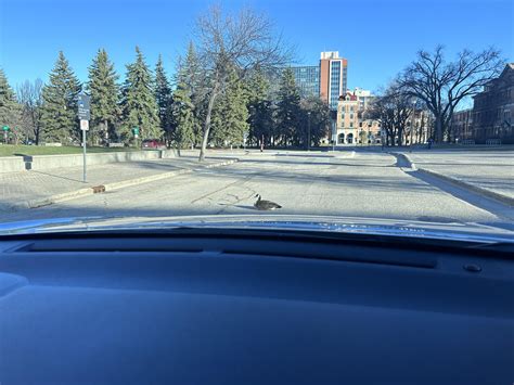 These cobra chickens are getting too comfortable on campus : r/umanitoba