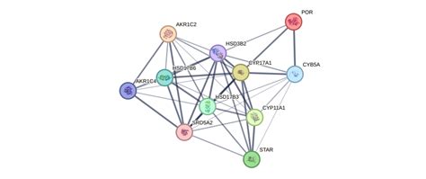 PathCards :: Alternative pathway of fetal androgen synthesis Pathway and related pathways