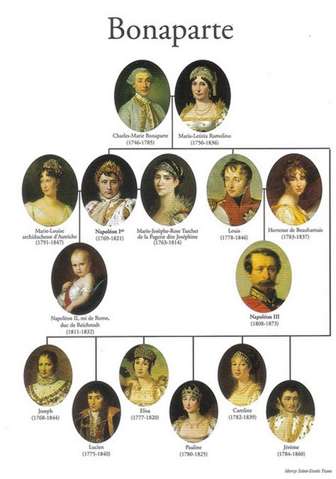 Bonaparte Family Genealogical Tree. | European history, Napoleon, Royal family trees