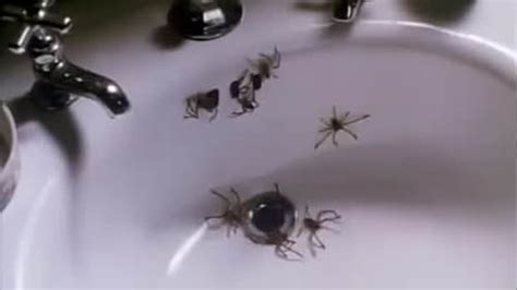 Arachnophobia (1990) - IMDb