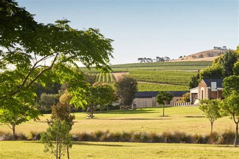 10 Best Wineries in Clare Valley | Man of Many