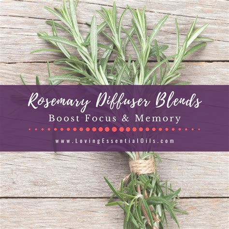 Rosemary Diffuser Blends - 10 Refreshing Essential Oil Recipes