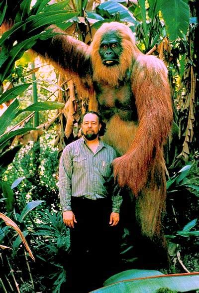 Gigantopithecus: The largest ape - Online Biology Dictionary