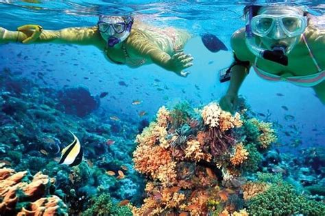 8 Best Snorkeling Spots in the Caribbean to Feel the Best Adventure