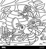 Honey Bee Hive Coloring Pages Sketch Page sketch template