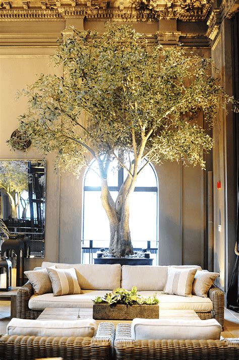 Artificial Mediterranean Olive Tree | TreeScapes & PlantWorks