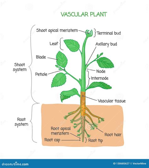 [DIAGRAM] Power Plant Diagram Images - MYDIAGRAM.ONLINE