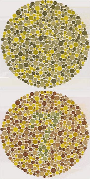 Color Vision Deficiency Examples – Color Vision Testing