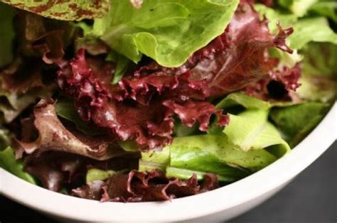 Red-Leaf Lettuce with Shallot Vinaigrette Recipe and Nutrition - Eat This Much