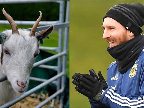 Lionel Messi poses with goats for photoshoot | Express & Star