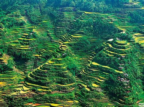 My Little Philippines: BANAUE & THE RICE TERRACES