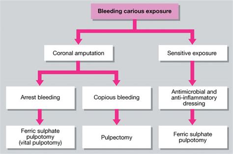 7: Pulp Therapy in the Primary Dentition | Pocket Dentistry