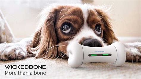 Wickedbone Smart Interactive Dog Toy | Gadgetsin