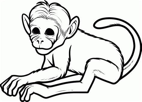 Free Realistic Monkey Coloring Pages, Download Free Realistic Monkey Coloring Pages png images ...