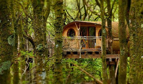 living room treehouses | Eco-friendly Hotels | Kiwano Hotels