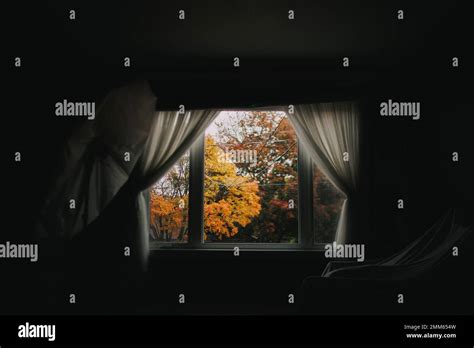 fall view from the window Stock Photo - Alamy