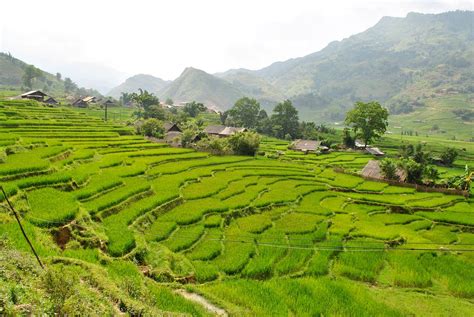 How To Go Trekking In Sapa, Vietnam