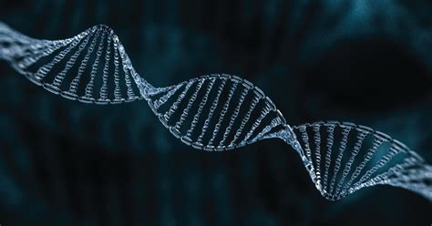 Pharmacogenomics Applications, End Users, and Its Comparison with Genetic Testing