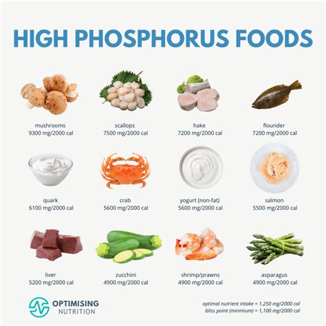 Foods High In Phosphorus at Darcy Sigler blog