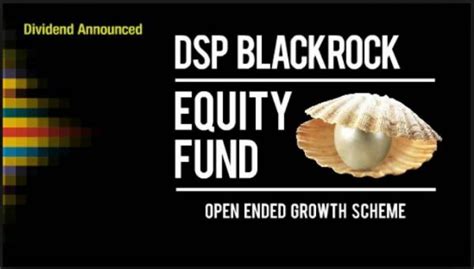 DSP Black Rock Top 100 – A good old Equity Diversified mutual fund