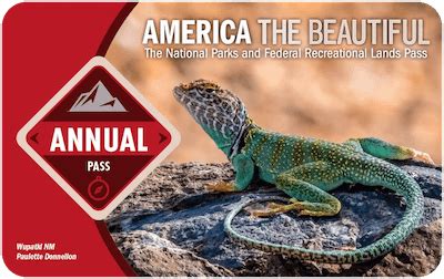 America the Beautiful Annual Pass on myscenicdrives.com