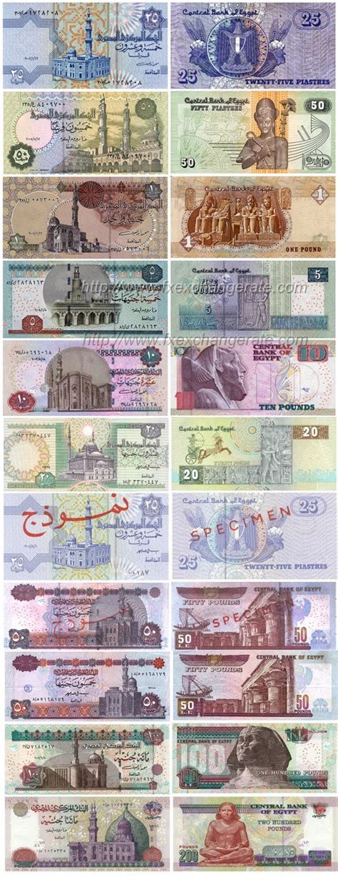 Egyptian Pound(EGP) Currency Images - FX Exchange Rate | Egyptian pound, Egyptian, Currency