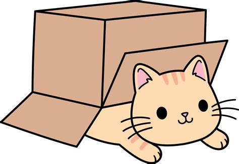 Cat in a Box | Shadow Cats