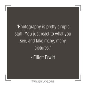 Elliott Erwitt Quotes. QuotesGram