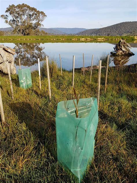 Webinar: Planning & planting to maximise the potential of farm dams – ANU Sustainable Farms