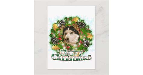 Merry Christmas Husky Holiday Postcard | Zazzle