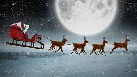 Santa’s reindeer could be female or castrated males | verifythis.com