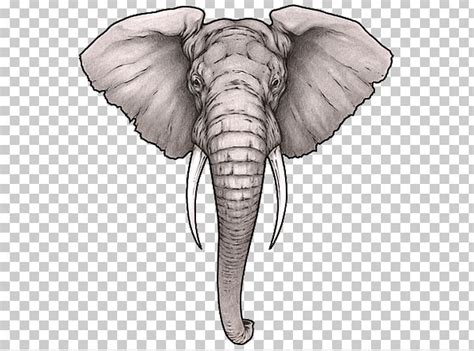 Sleeve Tattoo Elephant Tattoo Artist Tattoo Ink PNG, Clipart, African Elephant, Ambigram ...