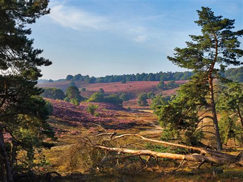 Natuur in Gelderland | 9x mooiste plekken in de provincie