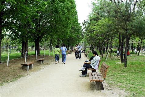 Seoul Forest Park