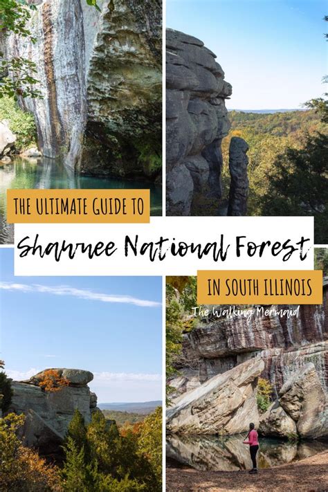 Exploring Shawnee National Forest in Illinois | Shawnee national forest, Illinois travel ...