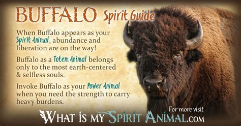 Buffalo Symbolism & Meaning | Spirit, Totem & Power Animal