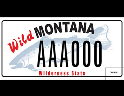 New Montana License Plate Design and Illustration on Behance